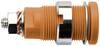 Schützinger Sicherheits-Einbaubuchse Stift-Ø: 4 mm Orange 1 St. Piece