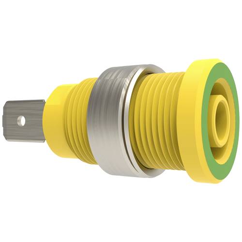 Schützinger Sicherheits-Einbaubuchse Grün-Gelb 1 St.