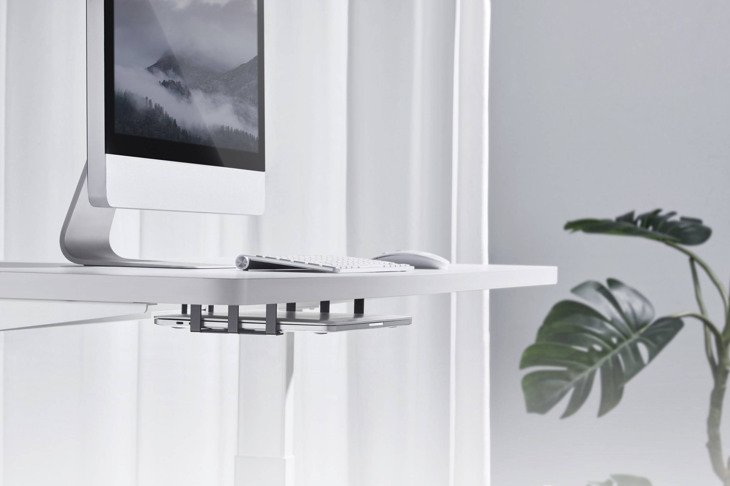 Ein moderner, weißer Schreibtisch mit einem Computerbildschirm und Tastatur. Eine grüne Pflanze steht im Hintergrund.