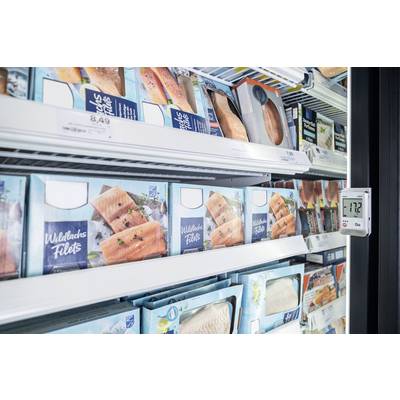 Gefrierregal im Supermarkt mit Packungen von Lachsfilets. Temperaturanzeige zeigt -17,2 °C an.