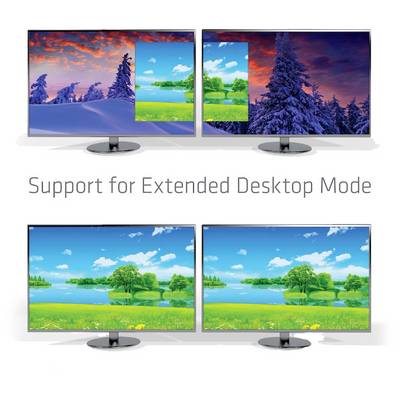 Vier Monitore zeigen verschiedene Landschaften. Oben: Winter- und Sommerlandschaft. Unten: Sommerlandschaft. Text: 'Support for Extended Desktop Mode'.