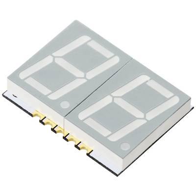 Zweistelliges Sieben-Segment-Display, geeignet zur Anzeige von Zahlen von 0 bis 99, in einem rechteckigen, kompakten Modul.