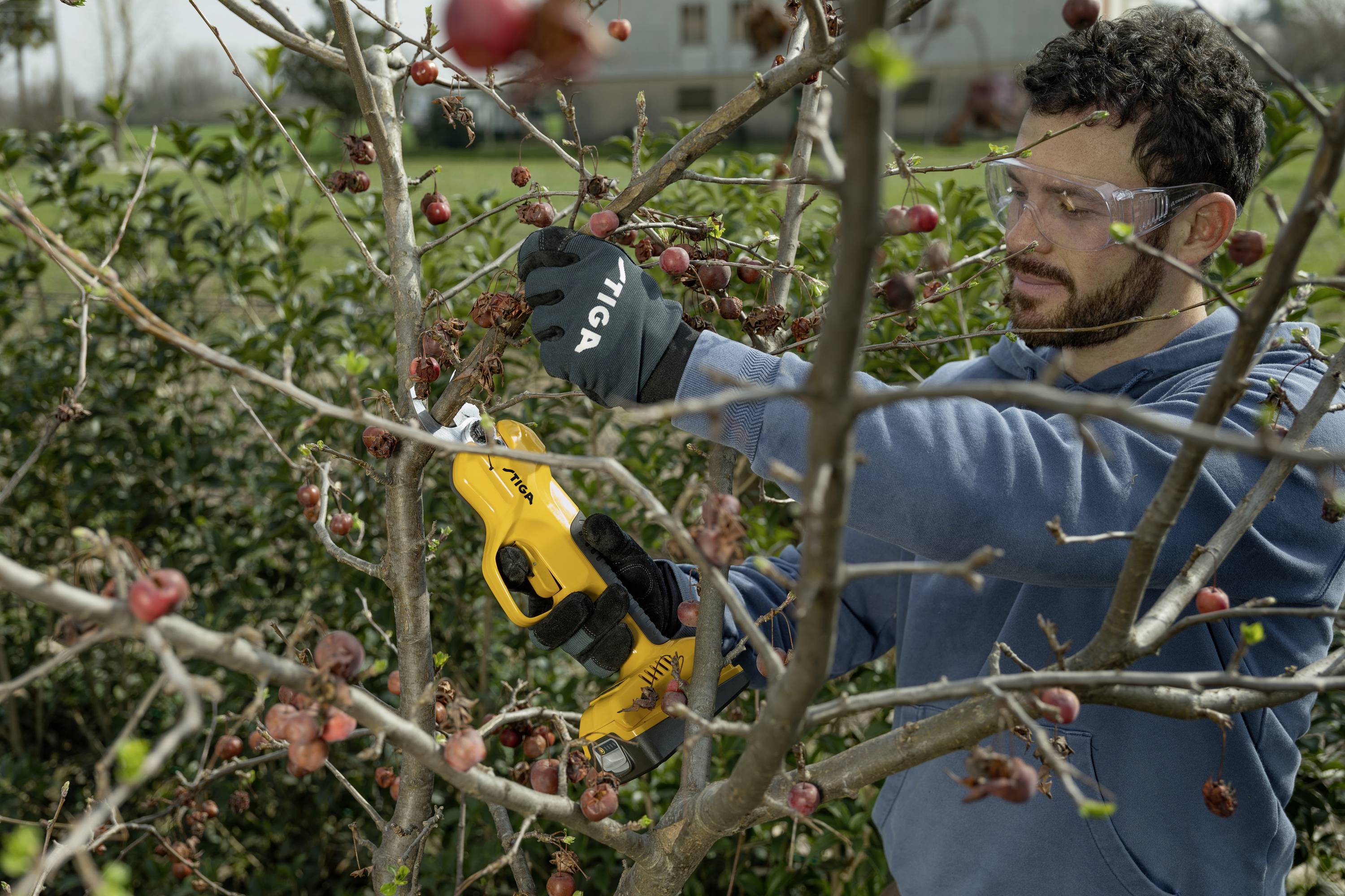 Ein Mann mit Schutzbrille und Handschuhen schneidet mit einer elektrischen Astschere Zweige an einem Baum im Garten.