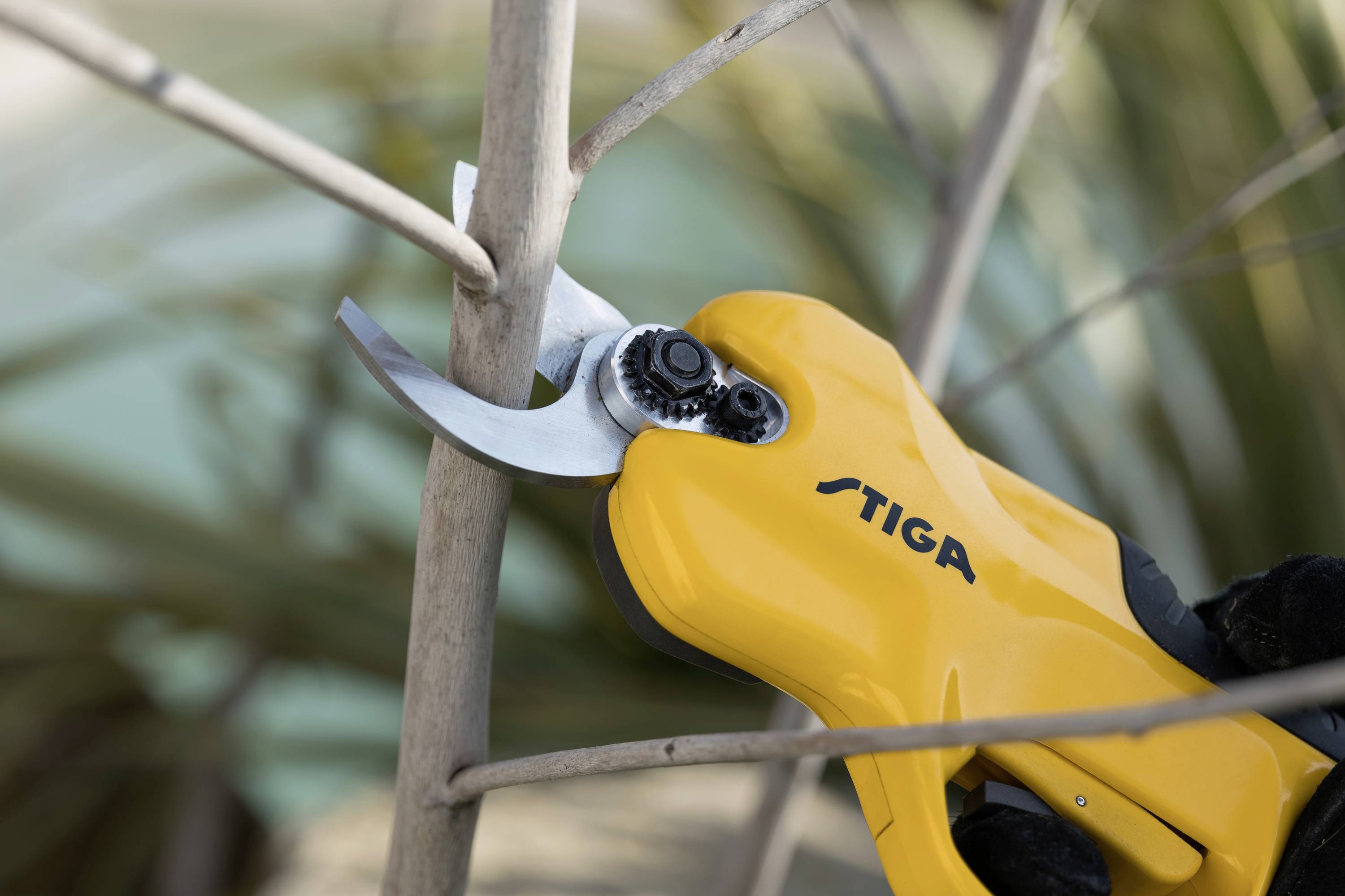 Eine gelbe Akku-Astschere schneidet einen Ast. Die Schere trägt den Markennamen 'Stiga' und wird von einer Person gehalten.