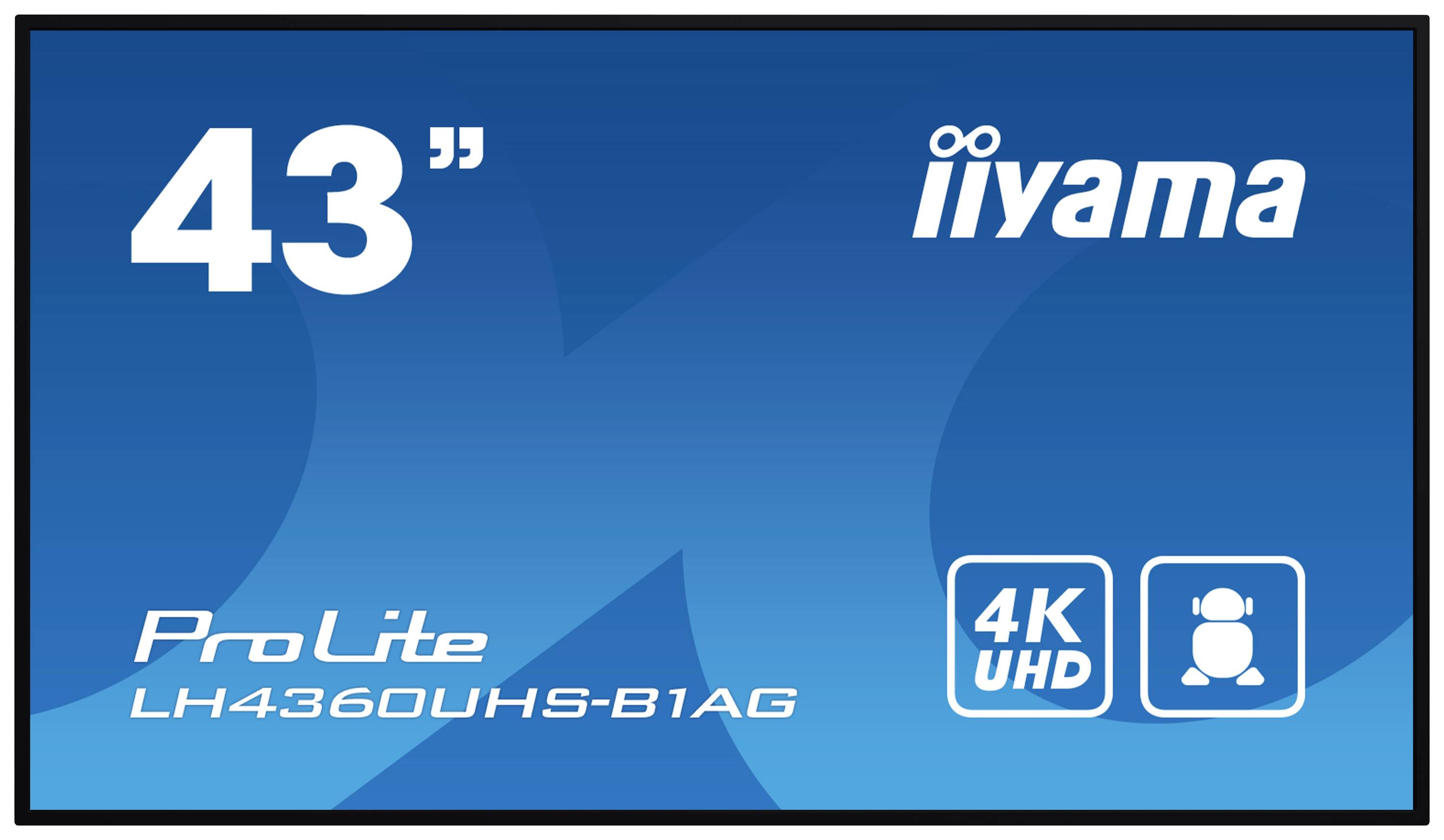 Dis Public 43 Iiyama LH4360UHS-B1AG UHD-0