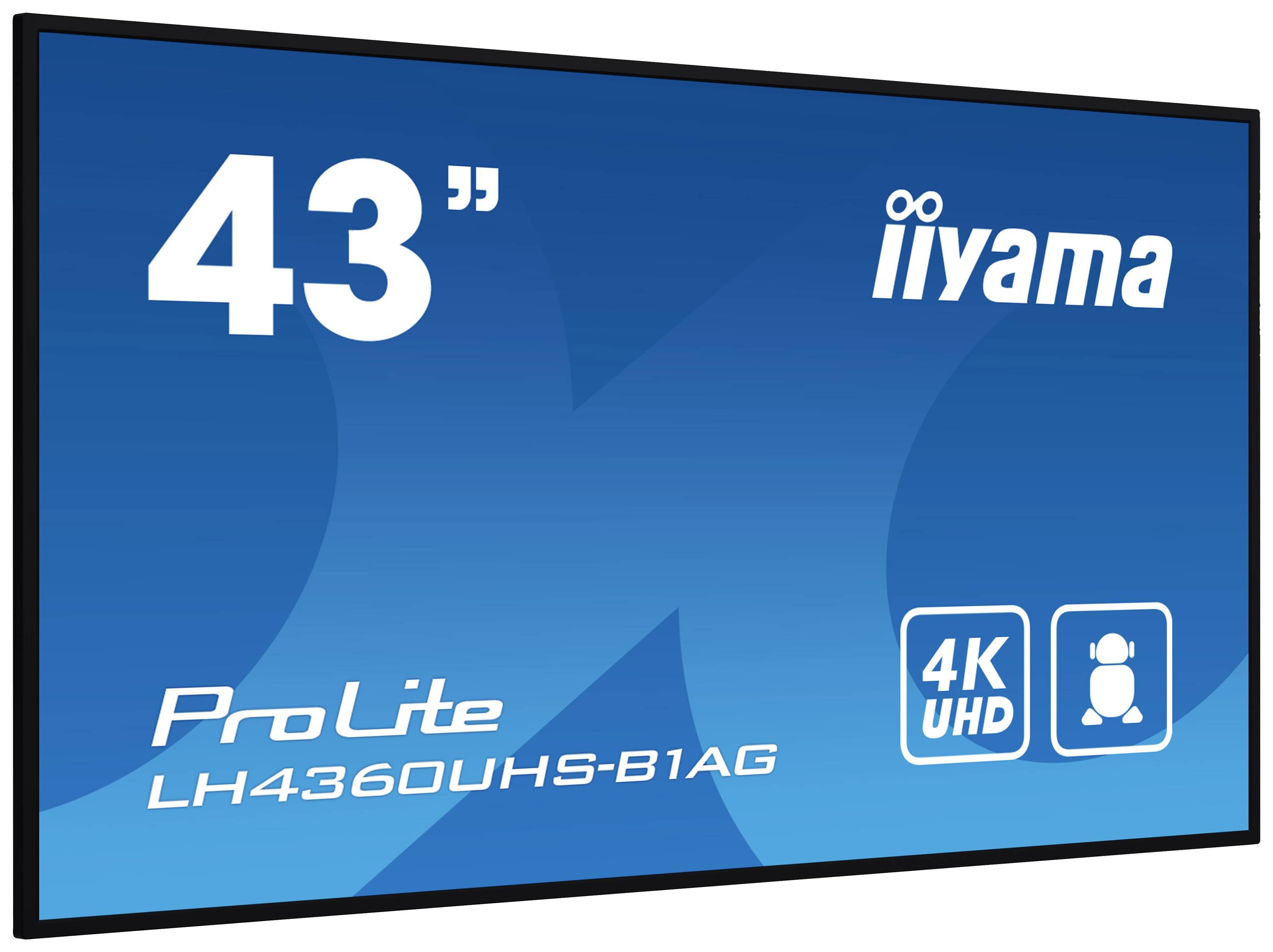Dis Public 43 Iiyama LH4360UHS-B1AG UHD-2