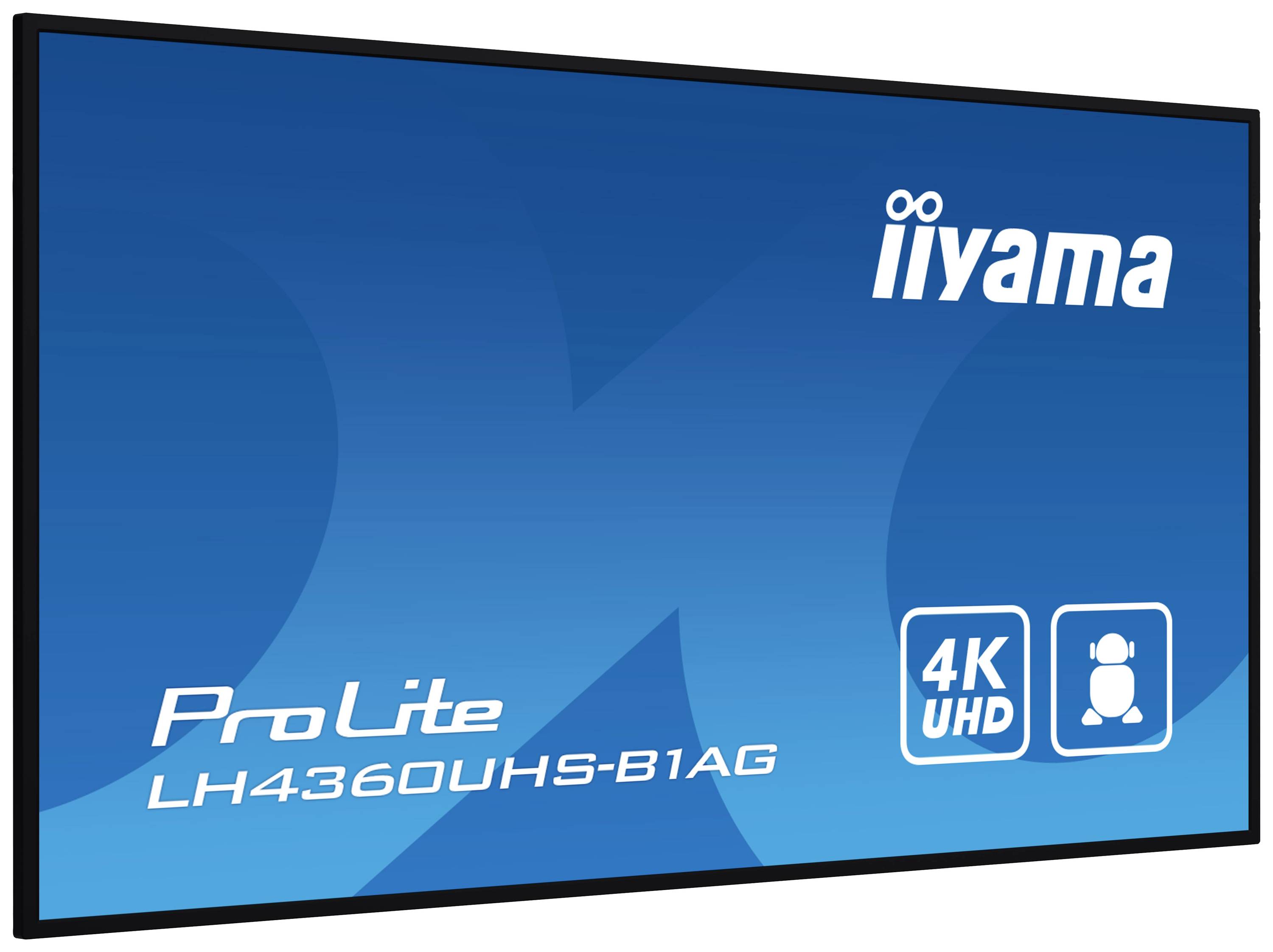 Dis Public 43 Iiyama LH4360UHS-B1AG UHD-15