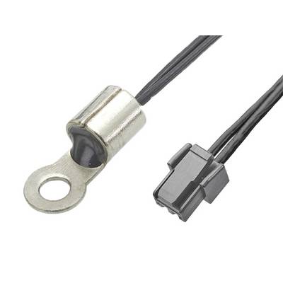Ein elektrisches Kabel mit einem Ringkabelschuh und einem Kunststoffstecker, geeignet für den Anschluss an elektronische Geräte.