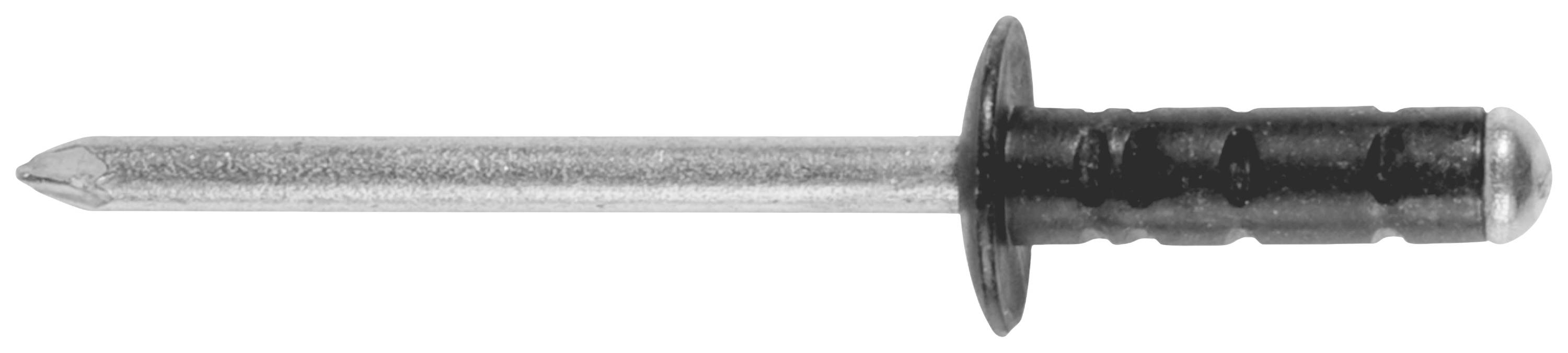 Silberner Metallnagel mit schwarzem Kunststoffgriff und rundem Kopf, isoliert vor weißem Hintergrund.