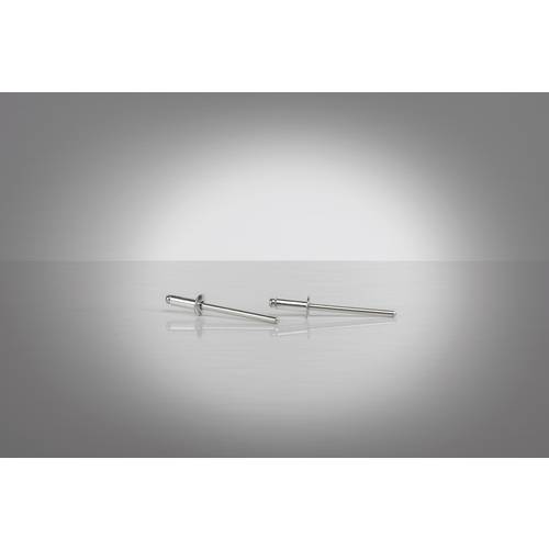 Gesipa 1454649 Blindniete Stahl Stahl 250 St.