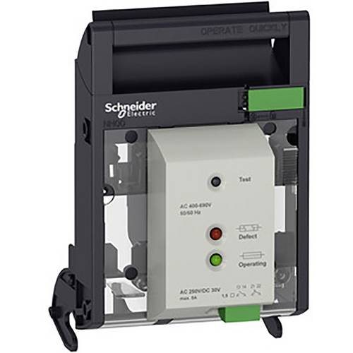 Schneider Electric LV480810 Leistungsschalterzubehör 1 St.