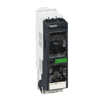 Elektrischer Leistungsschalter von Schneider Electric, schmal, vertikal montiert, mit sichtbaren Anschlussstellen vorne.