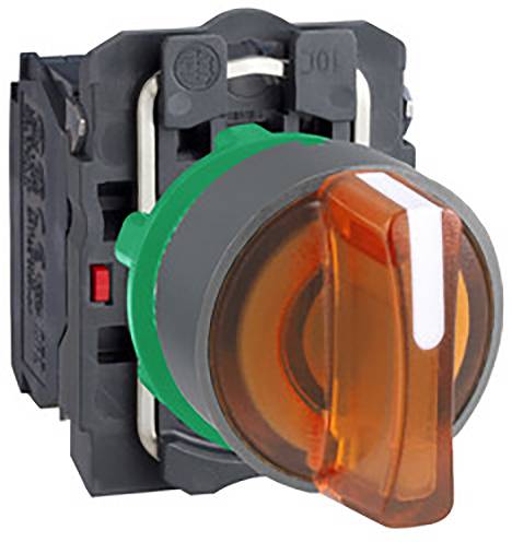 Schneider Electric XB5AK135B5C0 Leuchtwahlschalter 1 St.