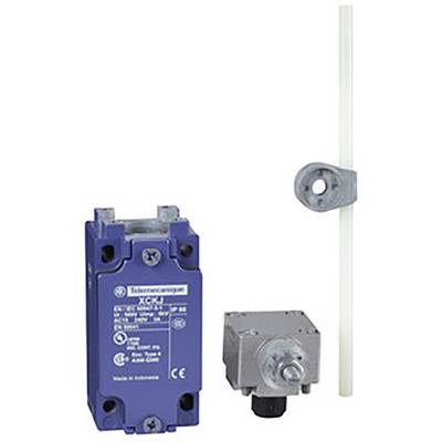 Positionsschalter Telemecanique Sensors XCKJ10559H29-0