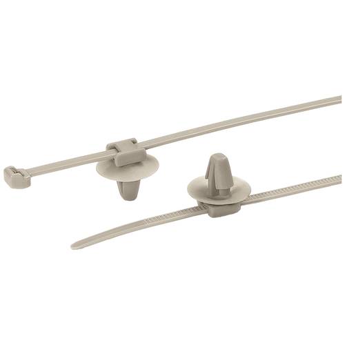 HellermannTyton 156-01091 PT2AP2SFT6.5-PEEK-BGE Kabelbinder 145 mm 3.4 mm Beige 1 St.