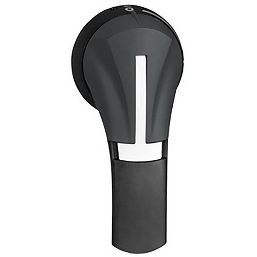 Schneider Electric GS2AH330 GS2AH330 Handgriff 1 St.