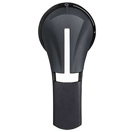 Schneider Electric GS2AH535 GS2AH535 Handgriff 1 St.