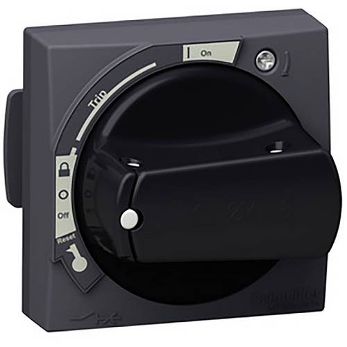 Schneider Electric GVAPB54 GVAPB54 Drehantrieb 1 St.