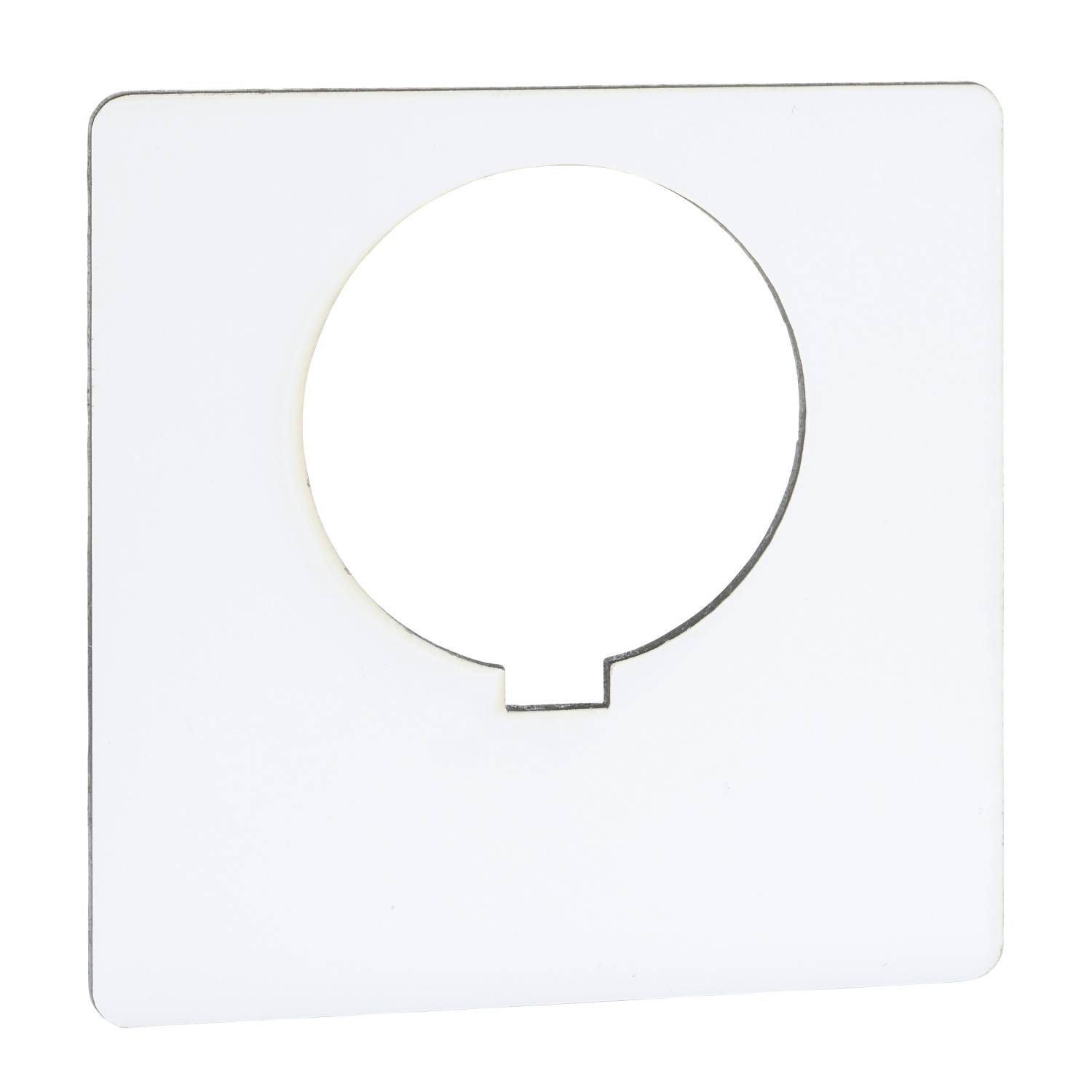 Schneider Electric 9001KN100WP 9001KN100WP Einlegeschild 1 St.