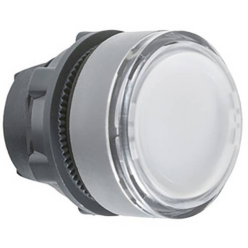 Schneider Electric ZB5AH0183C0 Drucktaster-Frontelement 1 St.