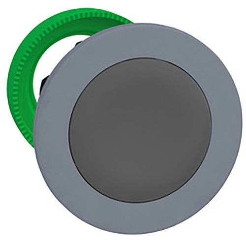 Schneider Electric ZB5FA8C0 Drucktaster-Frontelement 1 St.