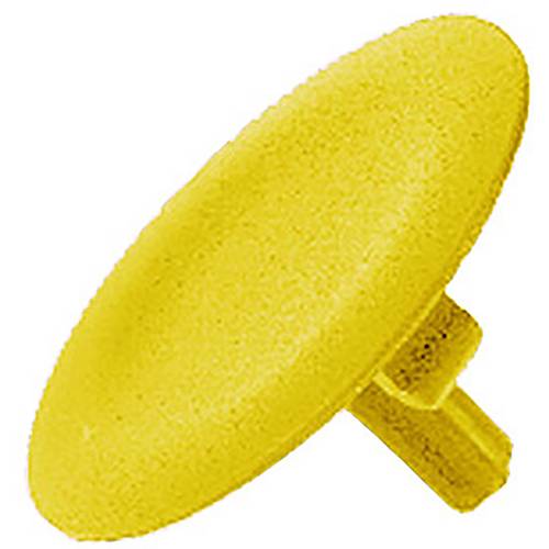 Schneider Electric Tastenschild 10 St.