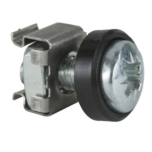 Actassi, Schrauben M5 mit U-Scheiben und Käfigmuttern für 9,5 mm Vierkantlöcher, VPE 50 Schneider Electric Inhalt: 1 St.