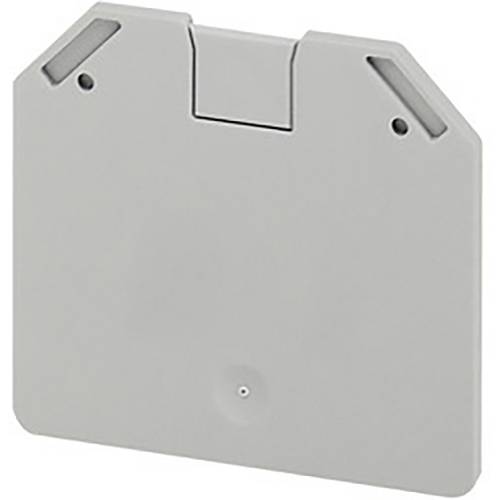 Schneider Electric NSYTRAC162 Endkappe 50 St.