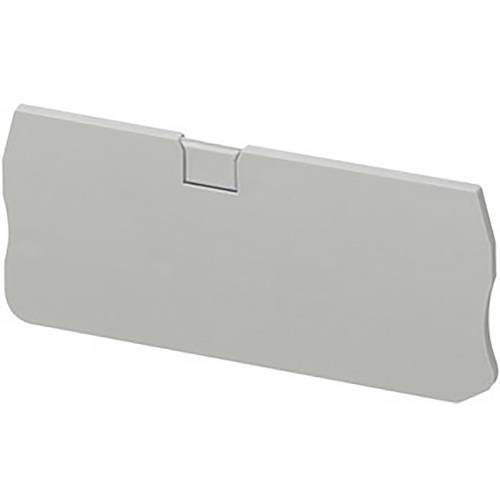 Schneider Electric NSYTRACR24 Endkappe Grau 1 St.