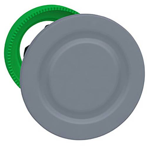 Schneider Electric ZB5FSZ3C0 Blindverschluss 1 St.