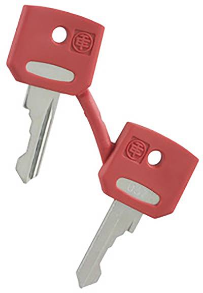 Schneider Electric ZBGF034 Ersatzschlüssel 1 St.