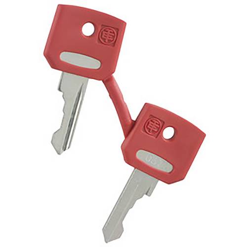 Schneider Electric ZBGF034 Ersatzschlüssel 1 St.