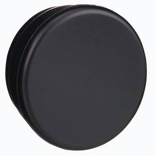 Schneider Electric ZB6Y005 Blindverschluss 10 St.