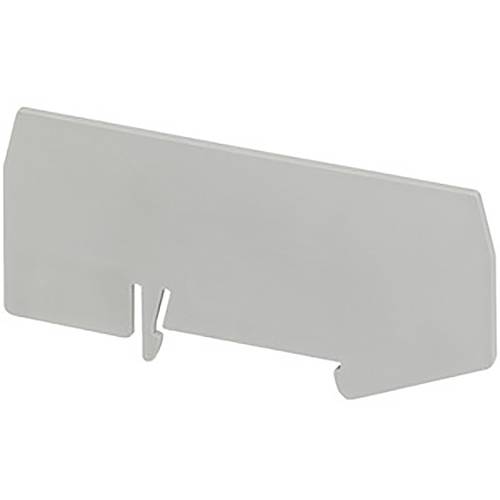 Schneider Electric NSYTRAPR24 Trennwand 50 St.