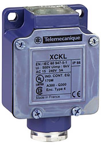 Schneider Electric ZBZ33C0 Schildträger 10 St.