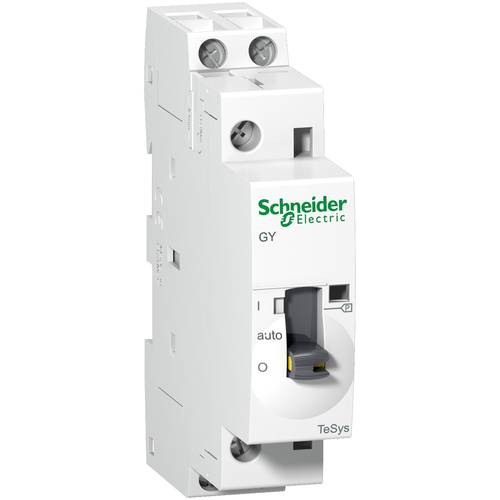 Schneider Electric GY2520M5 Schütz 12 St.