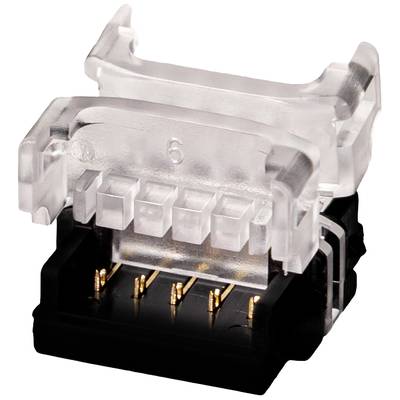 Ein RJ45-Netzwerkstecker mit durchsichtiger Kunststoffabdeckung und goldenen Kontakten wird dargestellt.