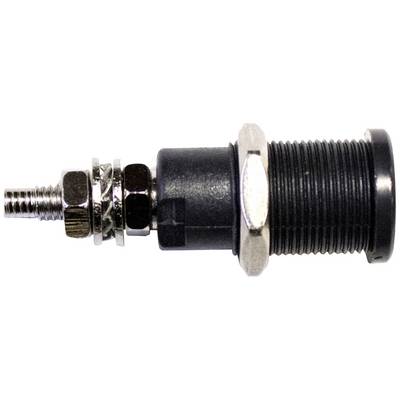 Ein schwarzer Metallstecker mit einem Gewinde und einer silbernen Mutter.