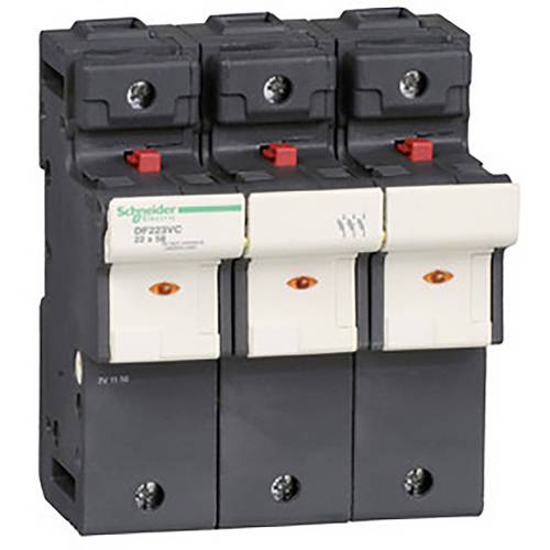 Schneider Electric DF223VC Sicherungshalter 2 St.