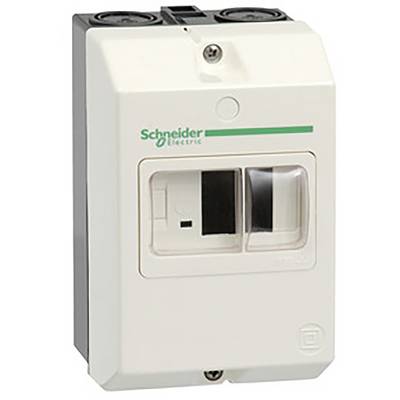 Schaltkasten mit zwei Kippschaltern, Marke Schneider Electric, an einer weißen Wand montiert.