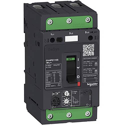 Schneider Electric GV4PE80B Motorschutzrelais 1 St.