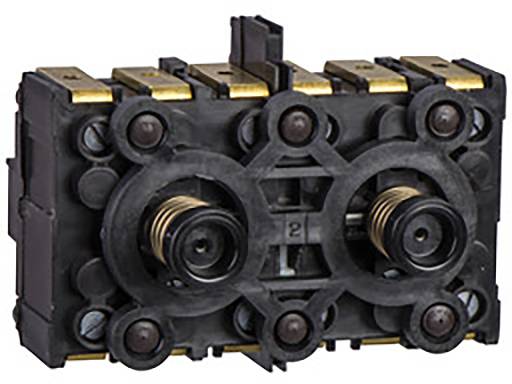 Ein schwarzer, rechteckiger elektrischer Stecker mit mehreren goldenen Kontakten und zwei federbelasteten Mechanismen in der Mitte.