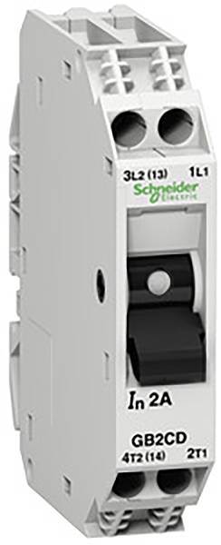 Grauer Leitungsschutzschalter mit schwarzem Schalter und grüner Aufschrift 'Schneider Electric', Nennstrom 2A.
