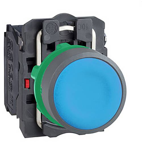 Schneider Electric XB5AA65C0 Kleinverteilerzubehör 1 St.