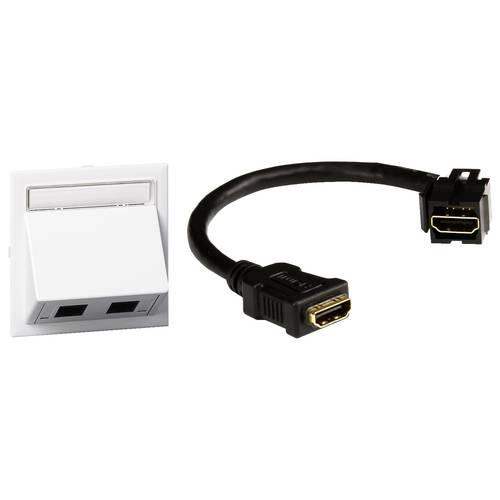 Schneider Electric INS60510 Einbaudose Multimediaträger 1 St.