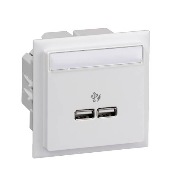 Schneider Electric INS60520 Einbaudose USB-Dose  1 St.