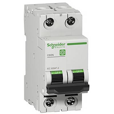 Ein weißer zweipoliger Leitungsschutzschalter von Schneider Electric, Modell C60N, mit grünen und schwarzen Schaltern.