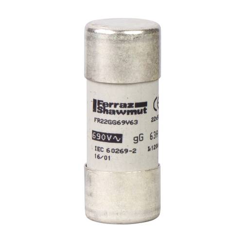 Schneider Electric DF2FN100 Sicherung 10 St.