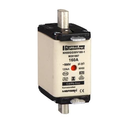 Schneider Electric DF2HN1251 Sicherung 3 St.