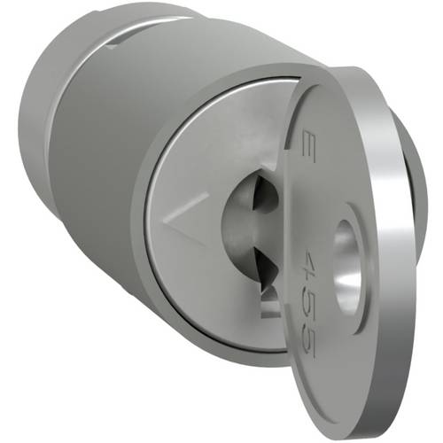 Schneider Electric LVS07941 Zylinderschloss 1 St.